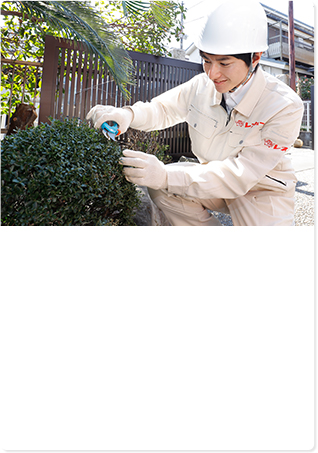 剪定作業イメージ