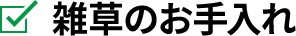雑草のお手入れ