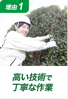 理由1 高い技術で丁寧な作業!